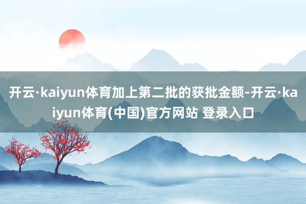 开云·kaiyun体育加上第二批的获批金额-开云·kaiyun体育(中国)官方网站 登录入口