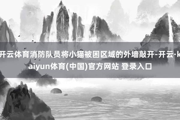 开云体育消防队员将小猫被困区域的外墙敲开-开云·kaiyun体育(中国)官方网站 登录入口