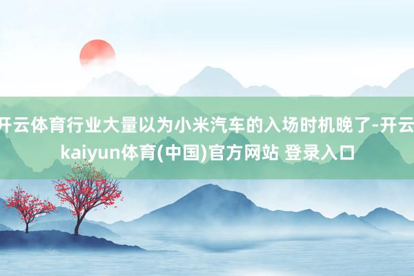 开云体育行业大量以为小米汽车的入场时机晚了-开云·kaiyun体育(中国)官方网站 登录入口